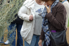 2012chagny_wissen_311
