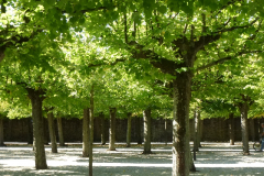 2012chagny_wissen_601