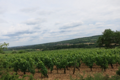 chagny-2015-bild-0089