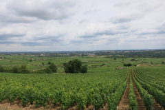 chagny-2015-bild-0090